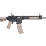 Smith & Wesson M&P15-22 .22 LR FDE
