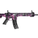 Smith & Wesson M&P15-22 .22 LR