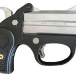 Bond Arms Stinger 9mm Derringer