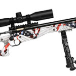 Keystone Crickett Precision .22 LR