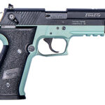 GSG FireFly .22 LR 4-inch Barrel