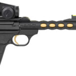 Browning Buck Mark Vision .22 LR