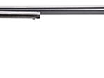 Heritage Arms Rough Rider .22 LR