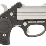 Bond Arms Stinger .22 LR