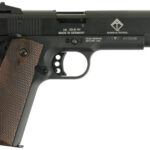 GSG M1911 .22 LR