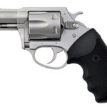Charter Arms Pitbull .40 S&W