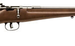 Savage Rascal 22 LR