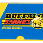 Buffalo Bore Ammunition 23E20 Standard Pressure Strictly Business 40 S&W 140 gr Barnes TAC XP Lead Free 20 Per Box/ 12 Case