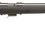 Savage 93 FVSS .22 Winchester Magnum