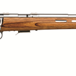 Savage 93R17 BTVS 17 HMR