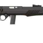 Rossi RB22 .22 LR