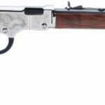 Henry Repeating Arms Silver Eagle .22 S/L/LR 20in Octagon