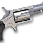 North American Arms Mini Revolver .22 LR