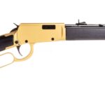 Rossi Rio Bravo .22 LR