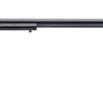 Heritage Arms Rough Rider .22 LR