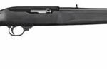 Ruger 10/22 .22 LR