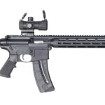 Smith & Wesson M&P15-22 22 LR